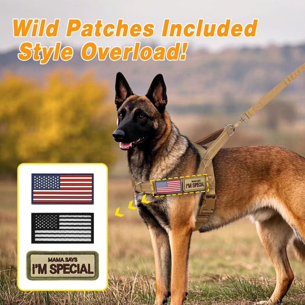 Espacio para tres parches en el arnés Forestpaw para personalización visible