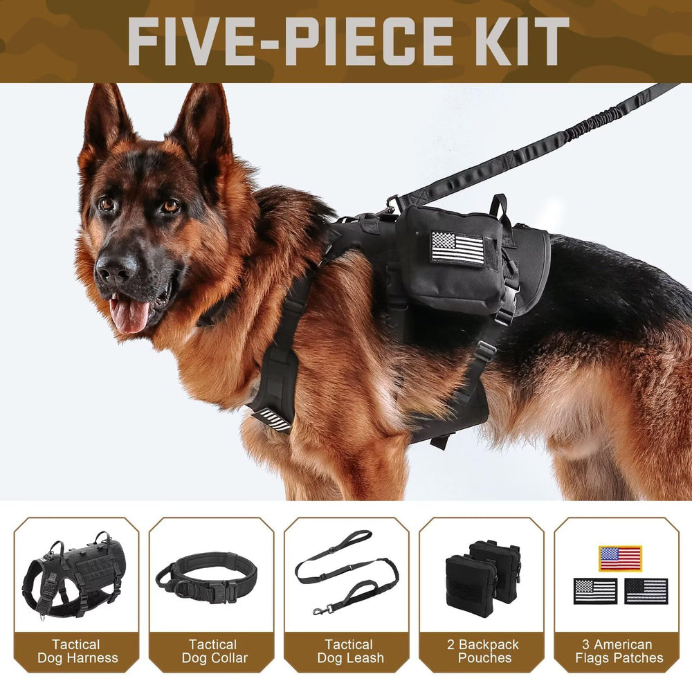 Arnés Forestpaw con sistema MOLLE lateral para accesorios