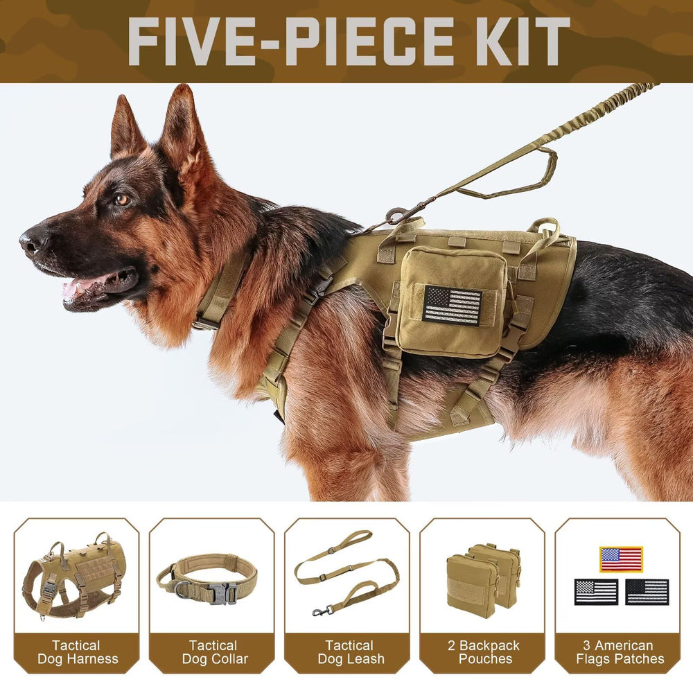 Mochilas MOLLE Forestpaw para almacenamiento durante excursiones y entrenamientos