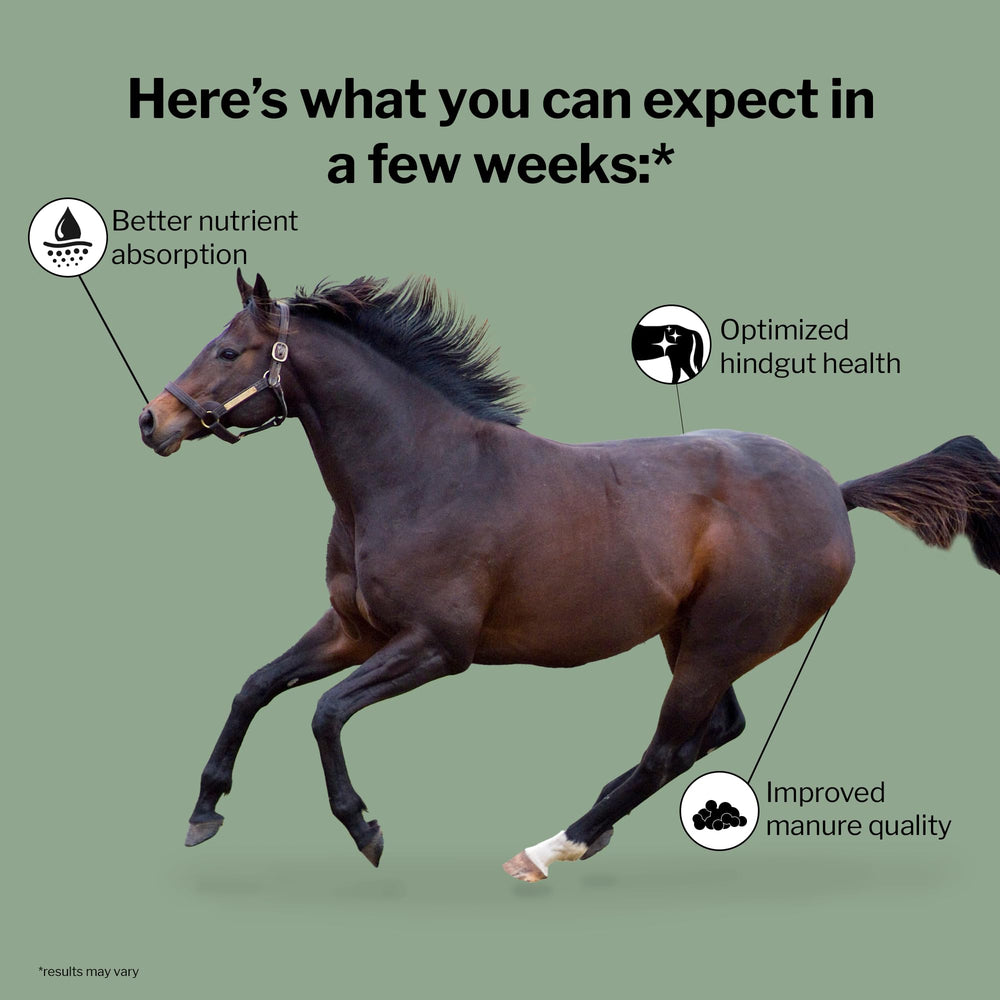 Formula 707 prebióticos para caballos, fomenta microflora de forma natural.