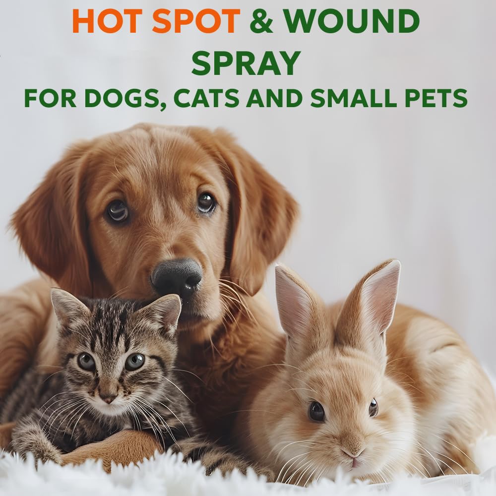 Fórmula sin alcohol de Forticept Hot Spot Spray para uso seguro.