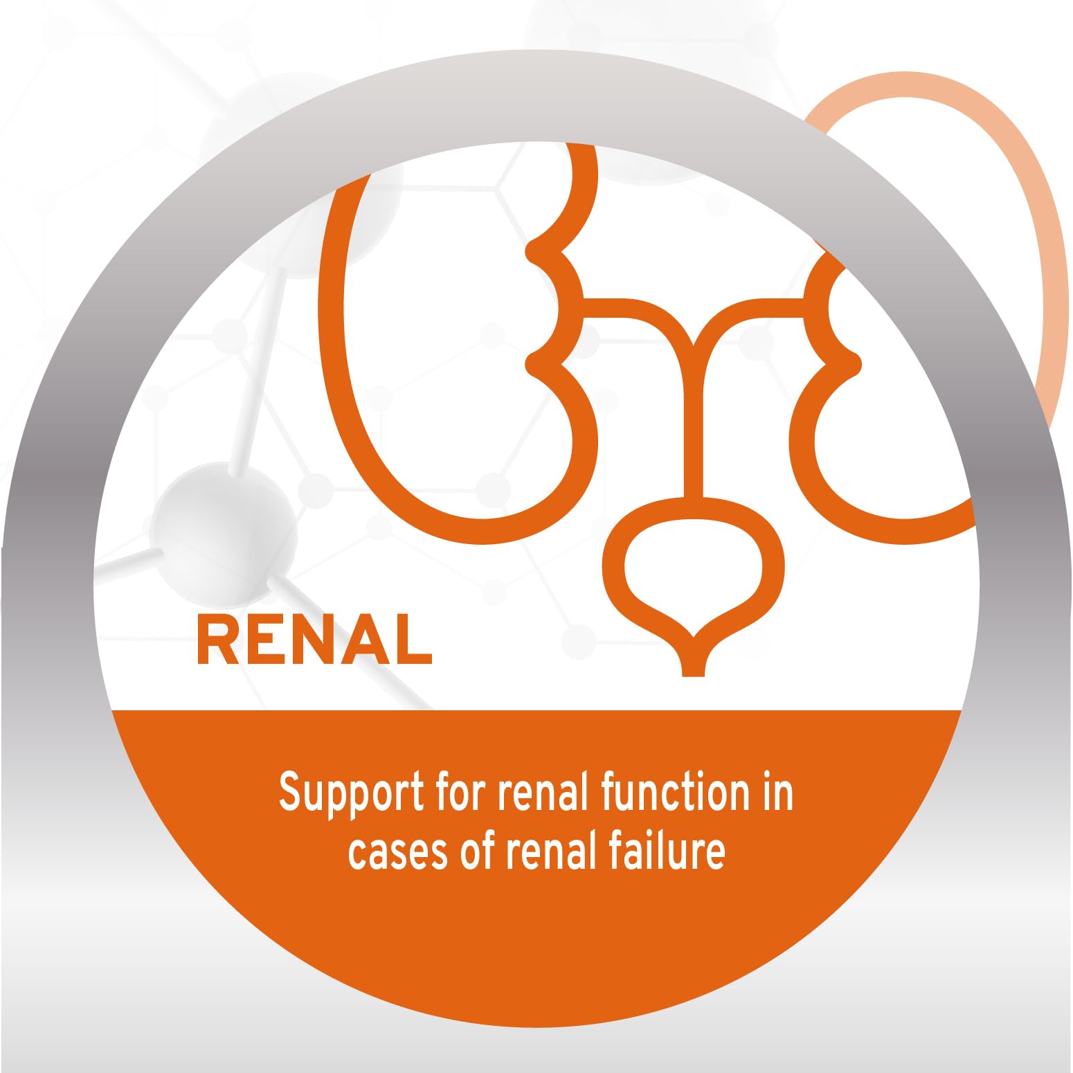 Forza10 gato arandanos secos, promueve salud renal.