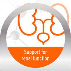 Forza10 ingredientes: arándanos y diente de león, lata de cordero, apoyo renal natural