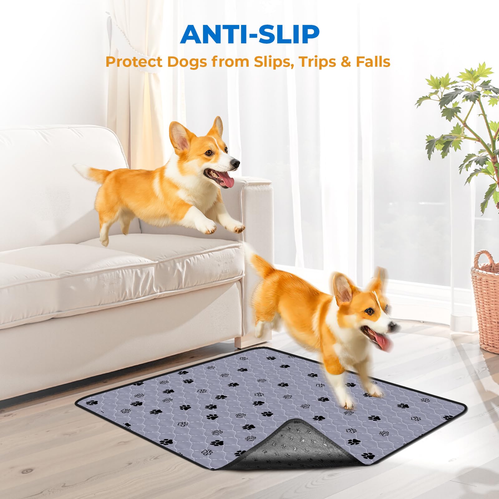 Fostanfly uso en casa, confort para mascotas durante entrenamiento