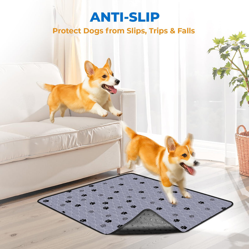 Fostanfly uso en casa, confort para mascotas durante entrenamiento