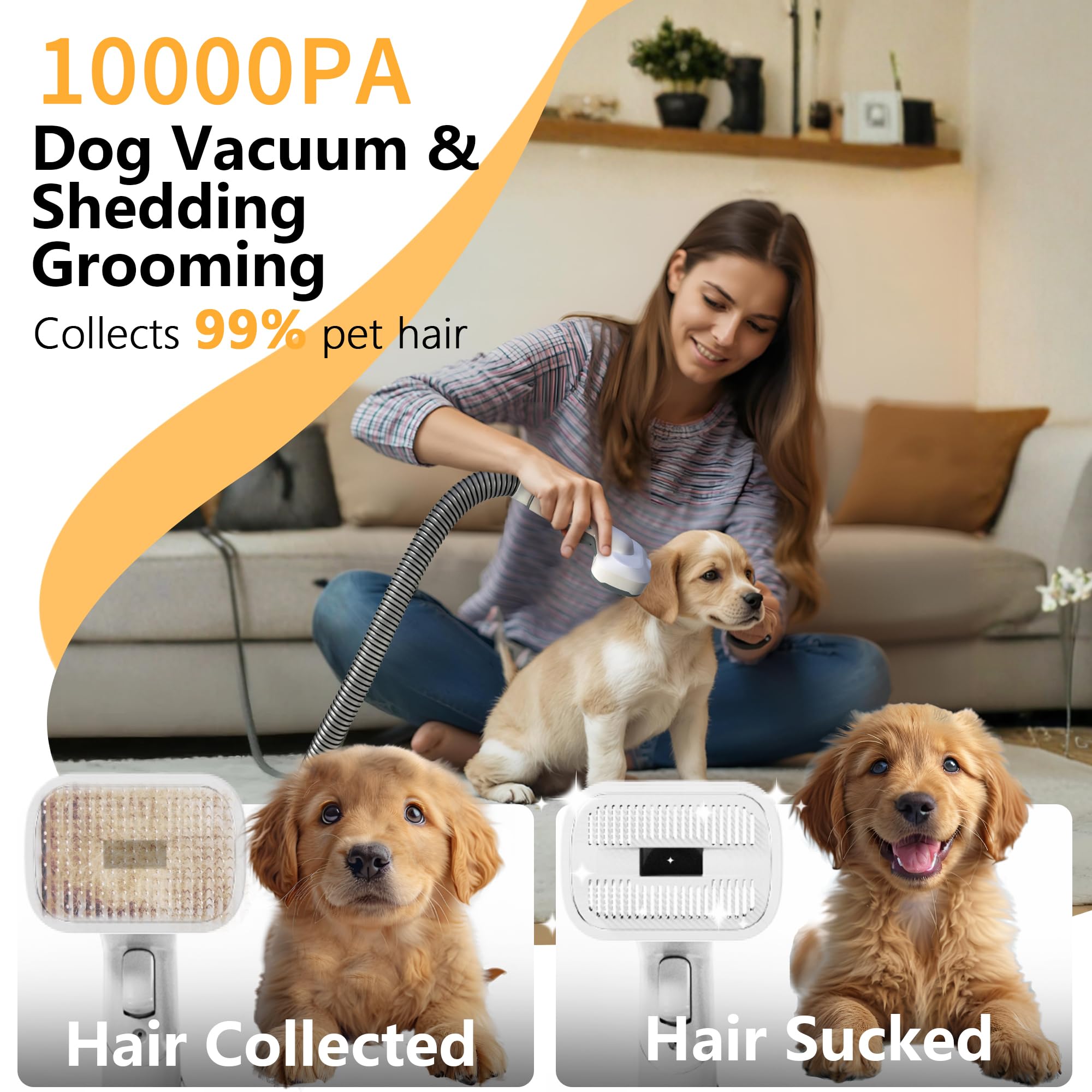 FOTING secado y suction en uno para grooming rápido y limpio