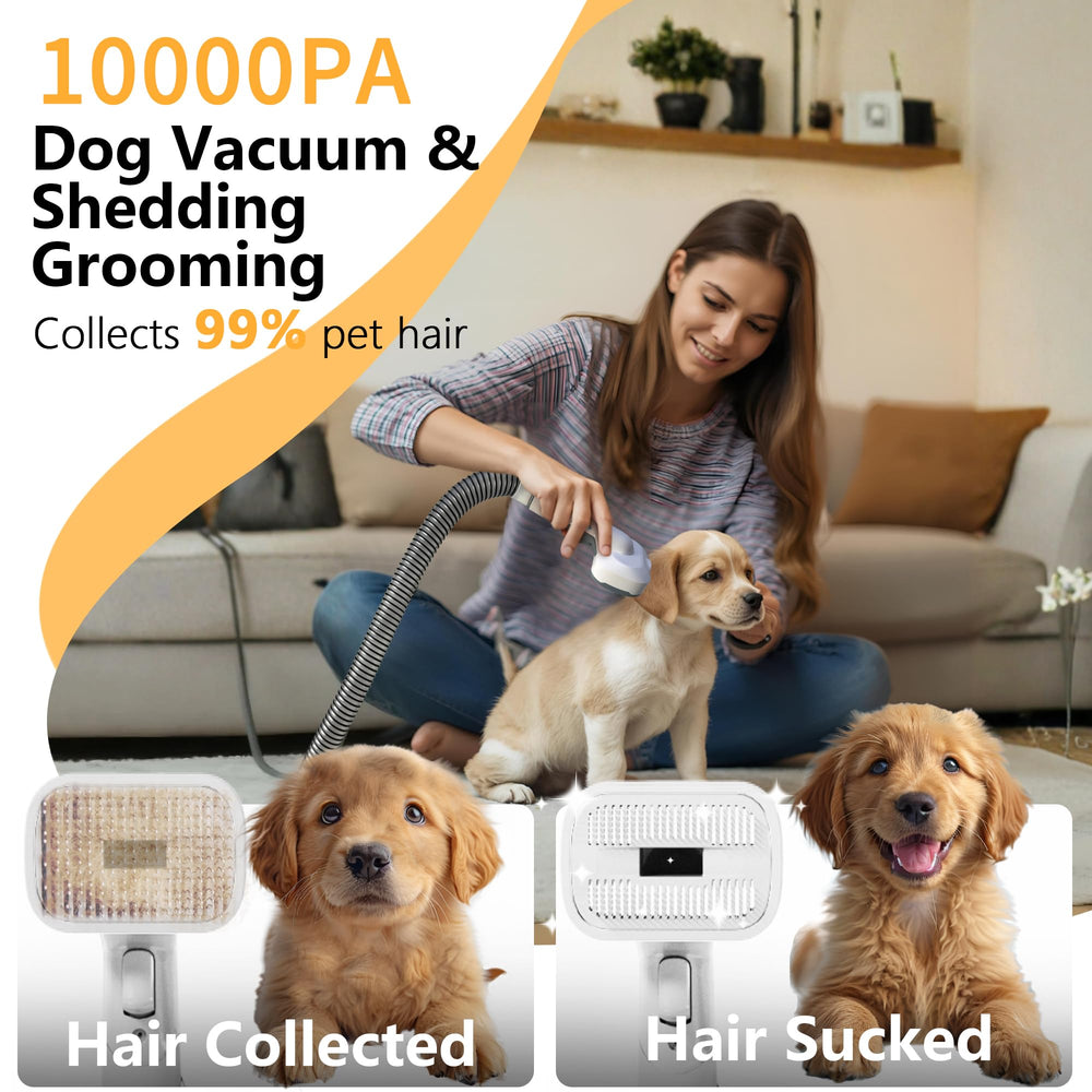 FOTING secado y suction en uno para grooming rápido y limpio
