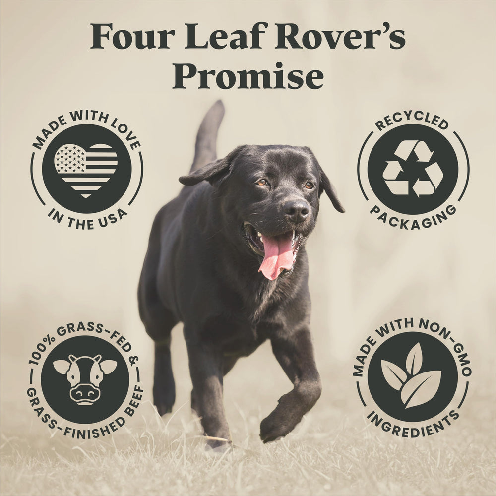 FOUR LEAF ROVER Kibble Fixer apoyo inmunológico suave para perros