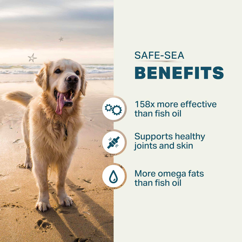 FOUR LEAF ROVER Safe-Sea etiqueta clara facilita elegir suplementos