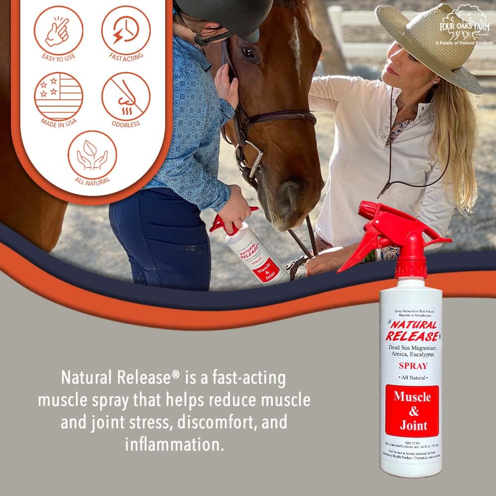 Four Oaks Farm Ventures: aplicación con arnica y eucalipto para músculos tensos del caballo.