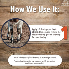 Aplicación fácil de Four Oaks Farm Ventures, espolvoreando sobre áreas específicas.