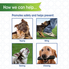 Bozal Four Paws con ajustes mínimos y hebillas simples.