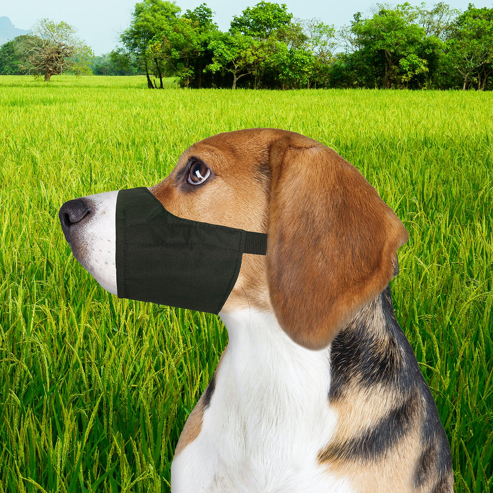 Bozal Four Paws ideal para razas pequeñas y medianas.