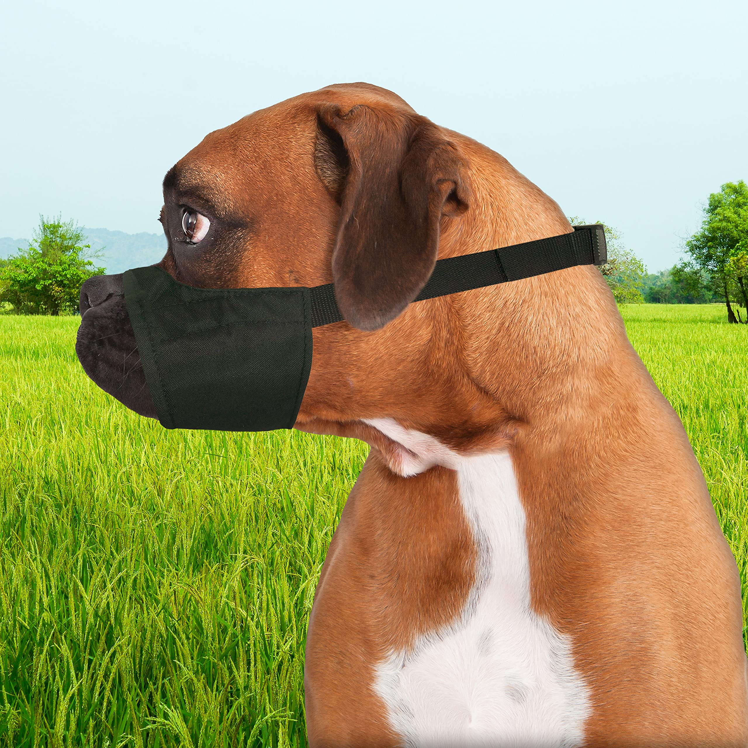 Four Paws bozal seguro para paseos diarios y juegos moderados
