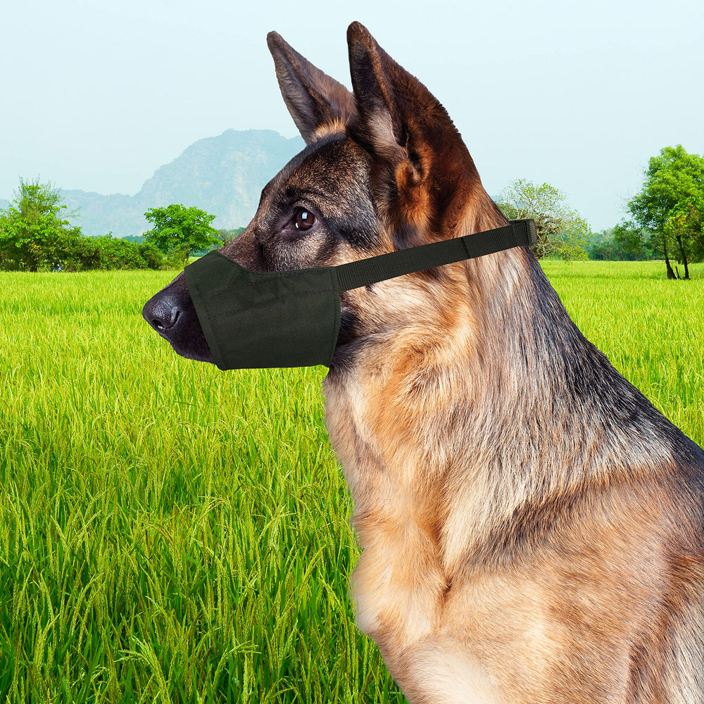 Four Paws bozal transpirable ideal para paseos diarios sin sobrecalentamiento.