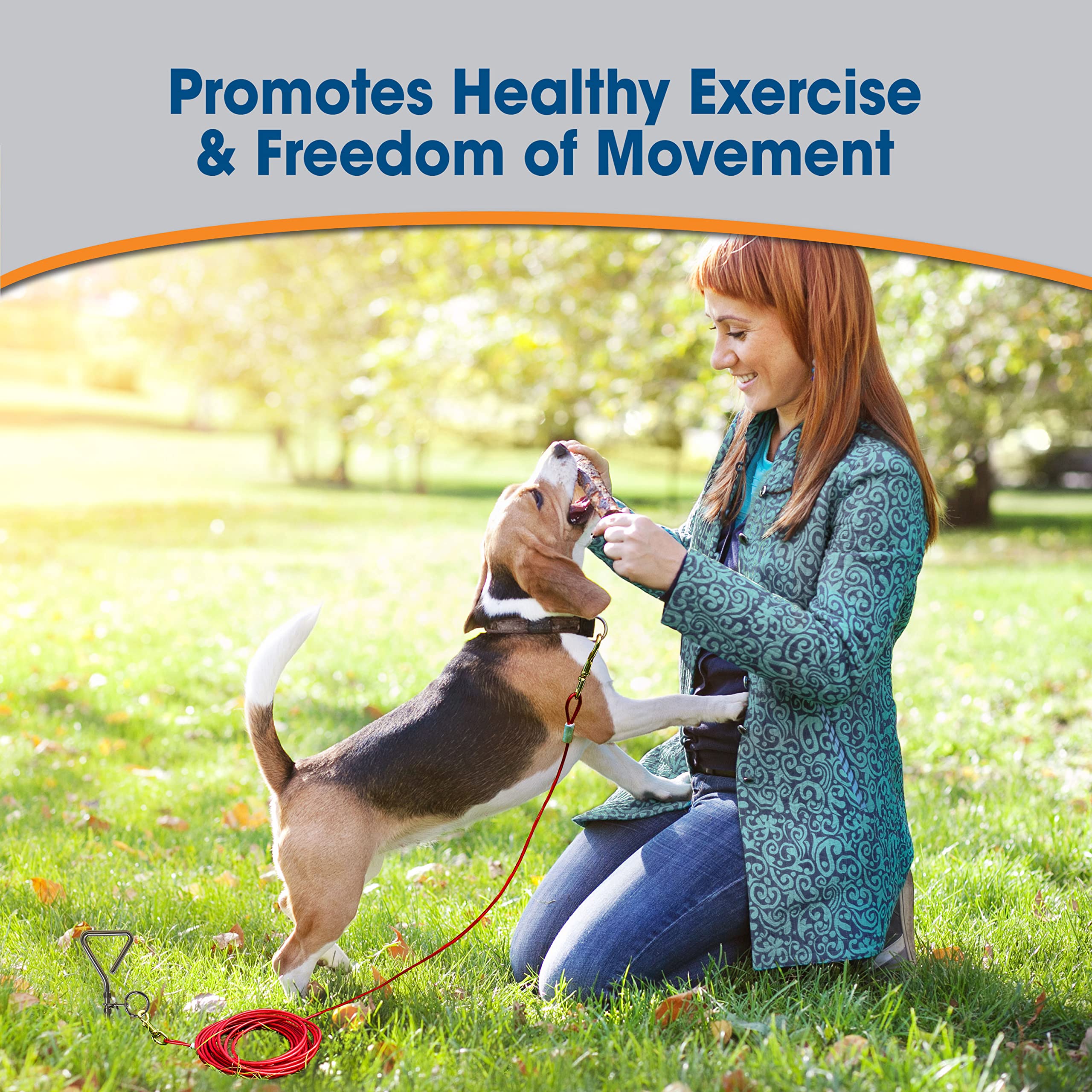 Four Paws cable de sujeción portátil para viajar con tu mascota.