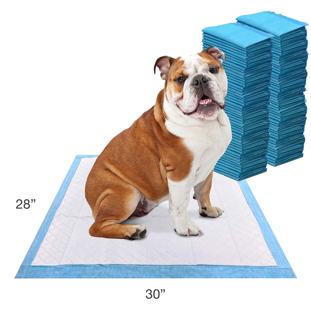 Dimensiones 22 x 23 pulgadas de Four Paws para tamaños variados