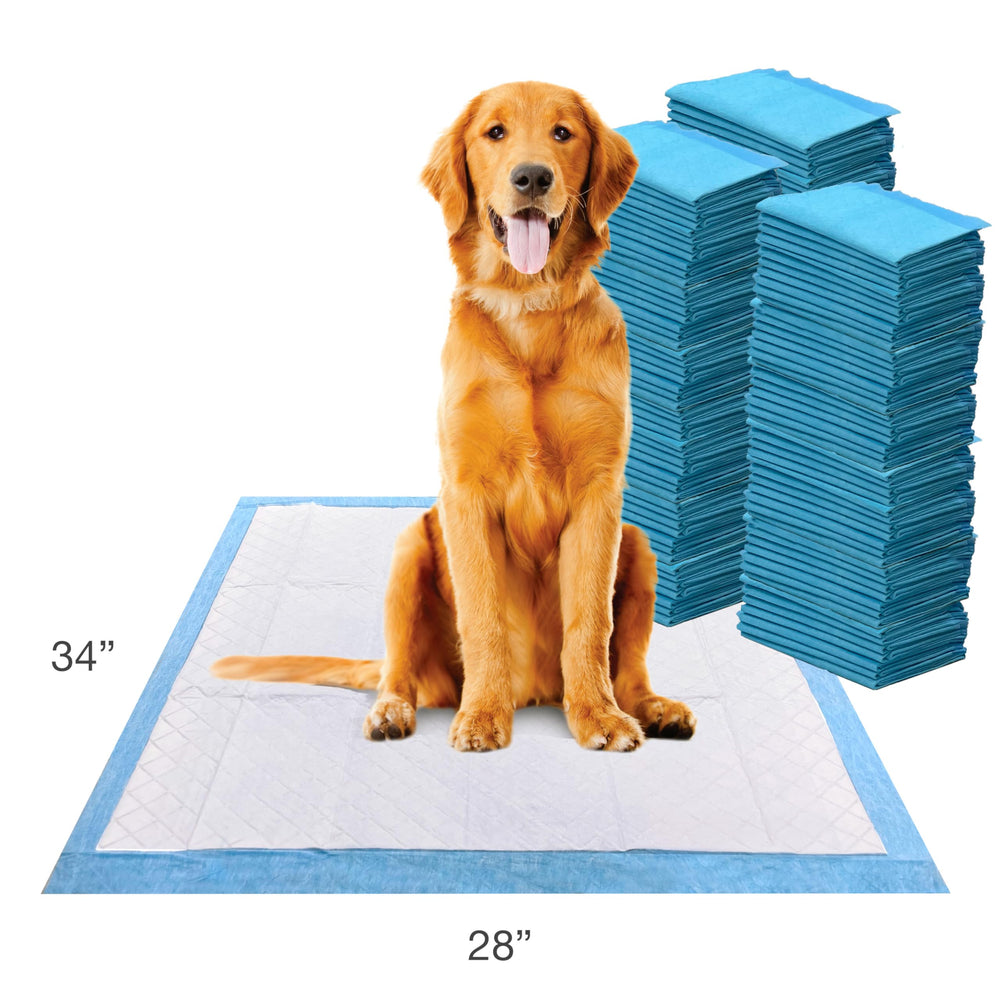 Tapete Four Paws Wee-Wee con absorción rápida para secado eficiente