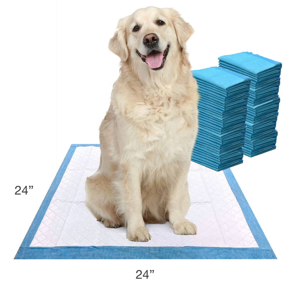 Four Paws Wee-Wee, empaque compacto para almacenamiento y menor basura.