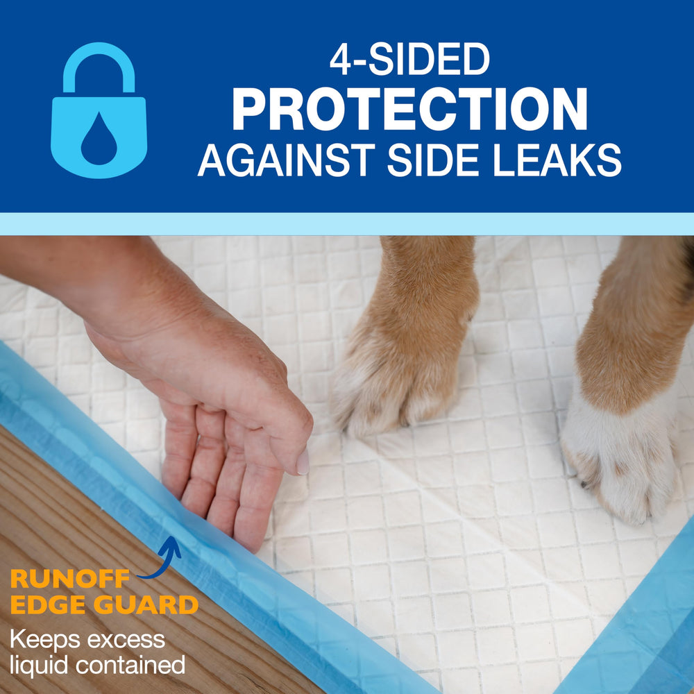 Four Paws Wee-Wee Pad con atracción dirigida facilita el entrenamiento.