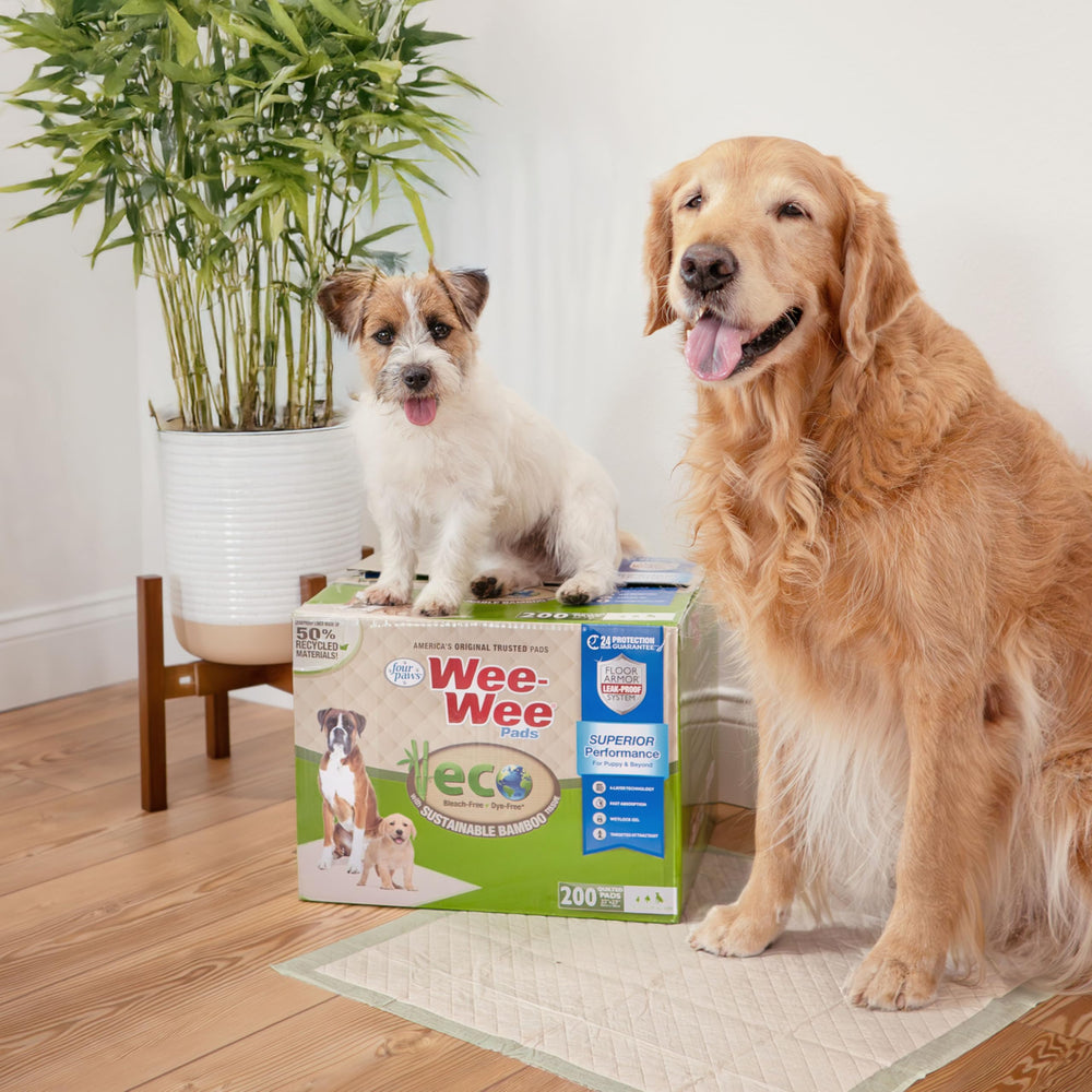 Four Paws Wee-Wee Pad: atrayente incorporado facilita el adiestramiento.