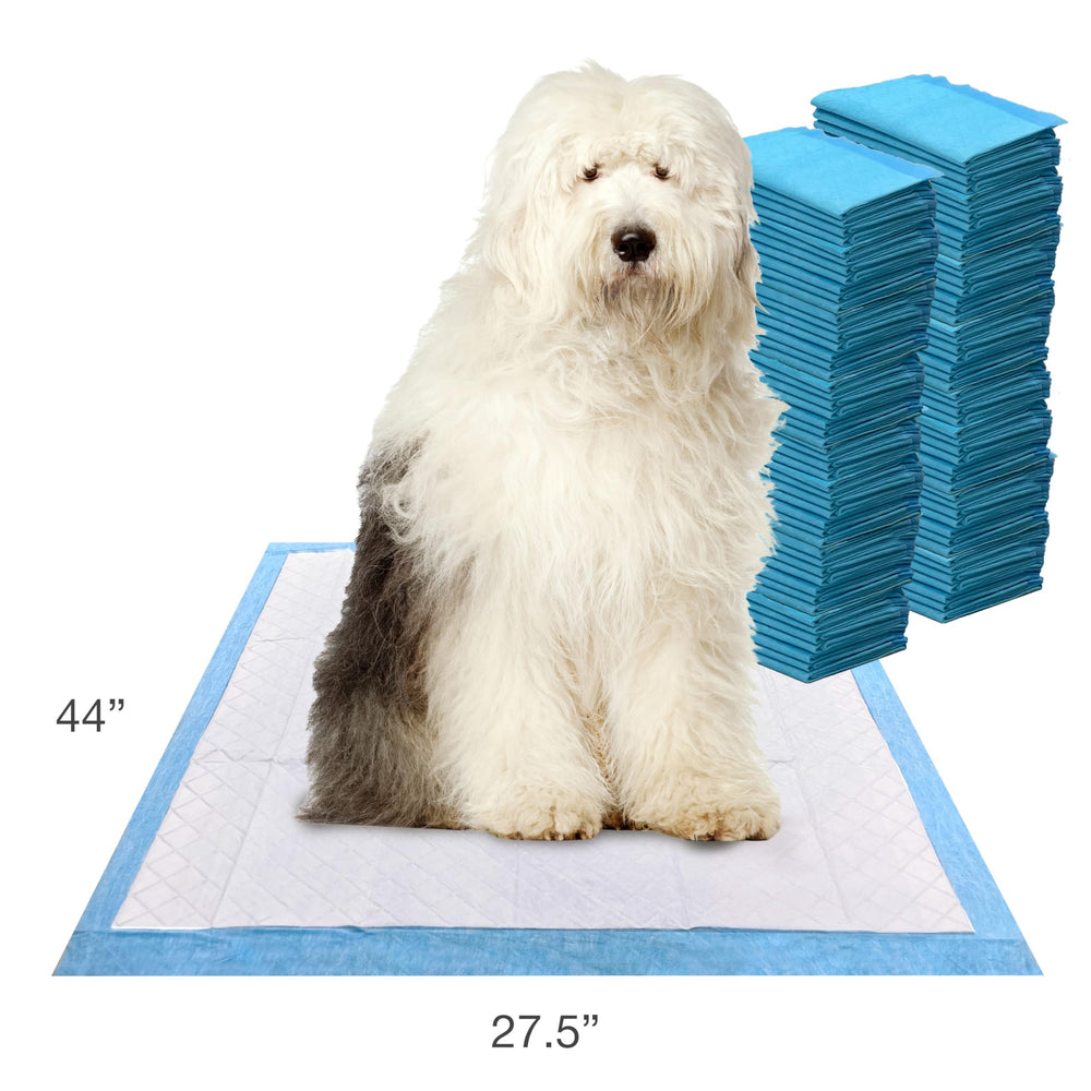 Four Paws Wee-Wee Pad ideal para perros grandes y hogares con varias mascotas.