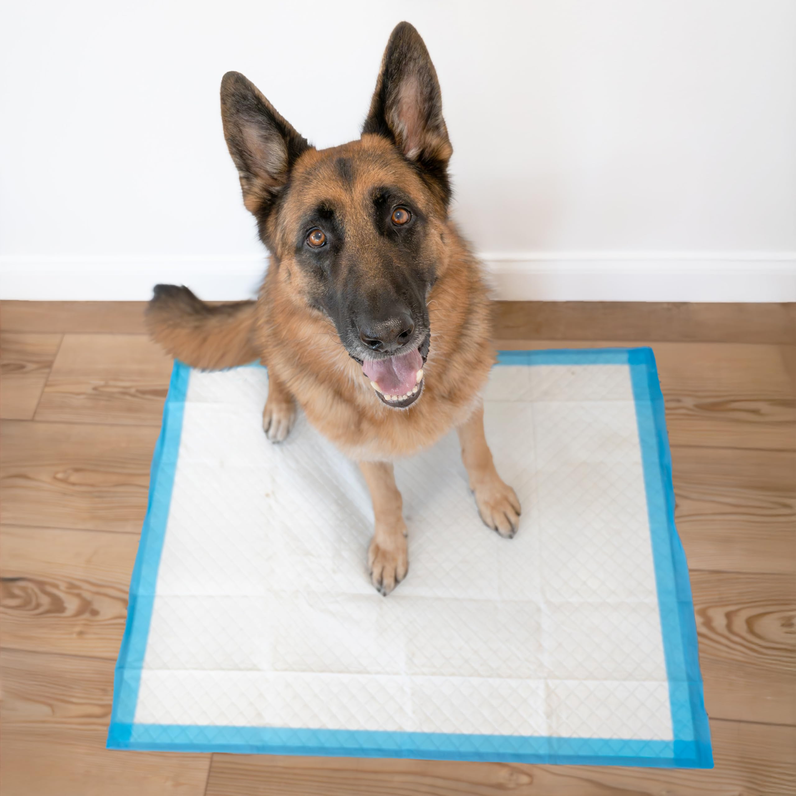 Four Paws Wee-Wee Pad ideal para razas grandes.