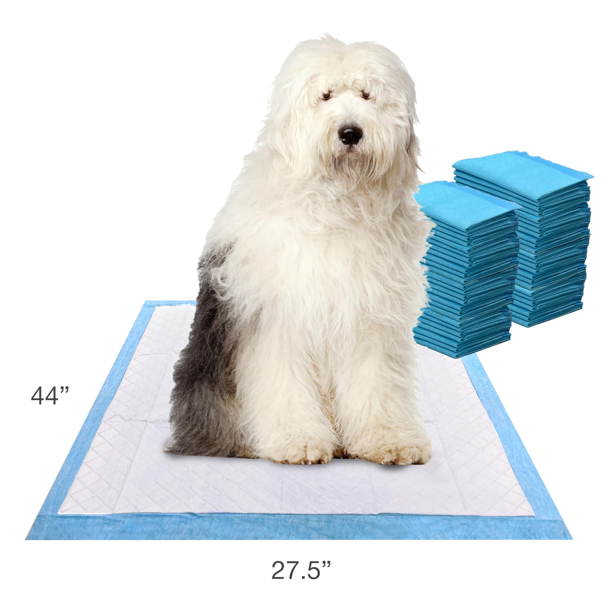 Four Paws Wee-Wee Pad, tejido resistente y secado rápido para uso diario.