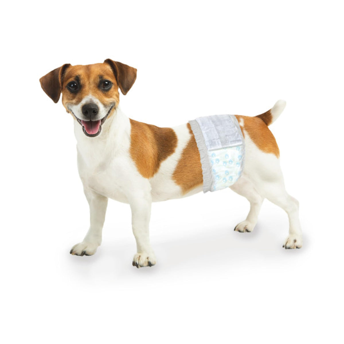 Four Paws Wee-Wee envoltura empaque para entrenamiento diario