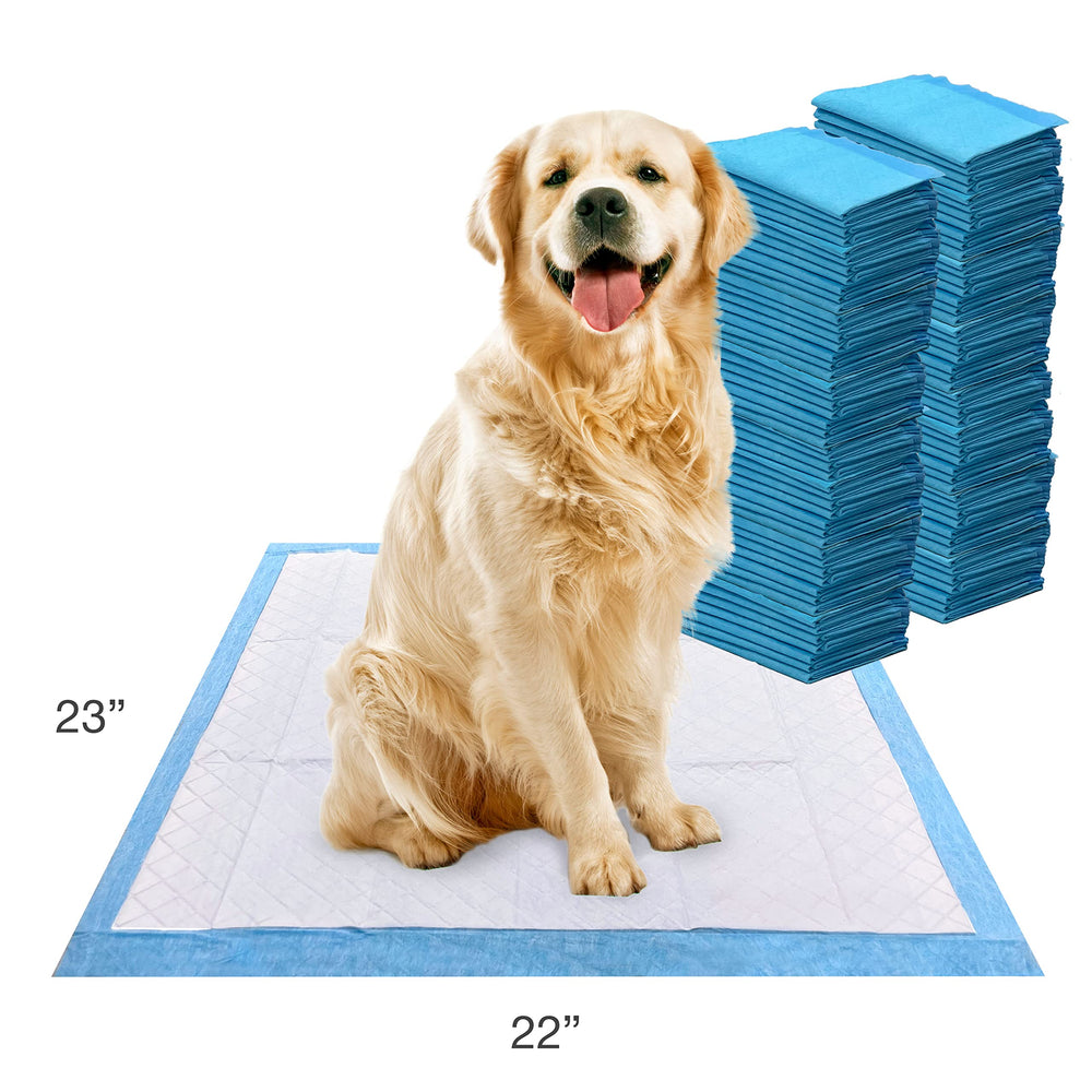 Atractor dirigido de Four Paws Wee-Wee facilita dirigir a la mascota a la almohadilla