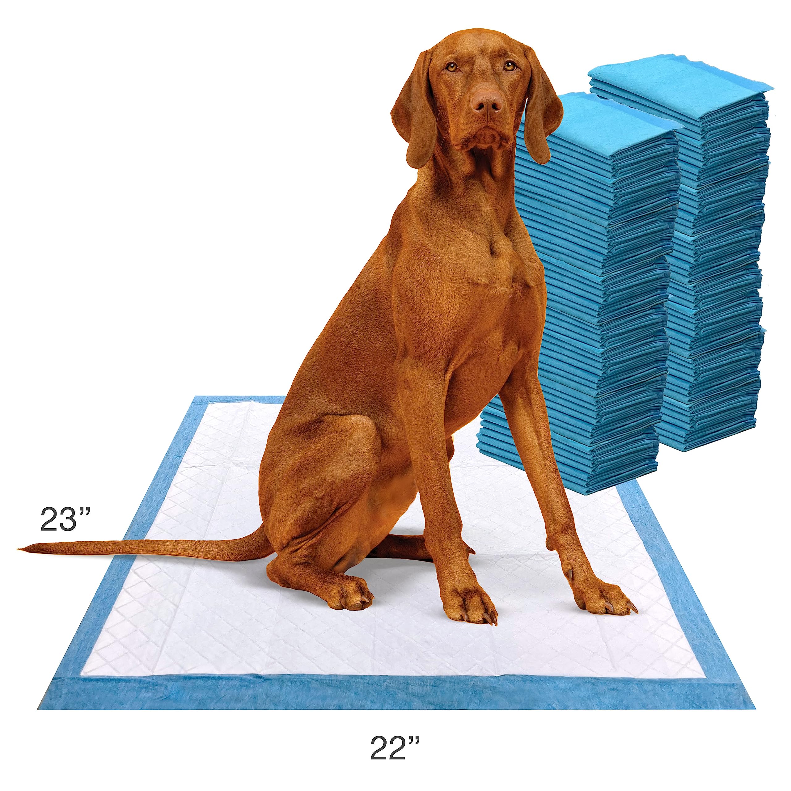 Four Paws Wee-Wee: empaque compacto para menor huella ambiental.