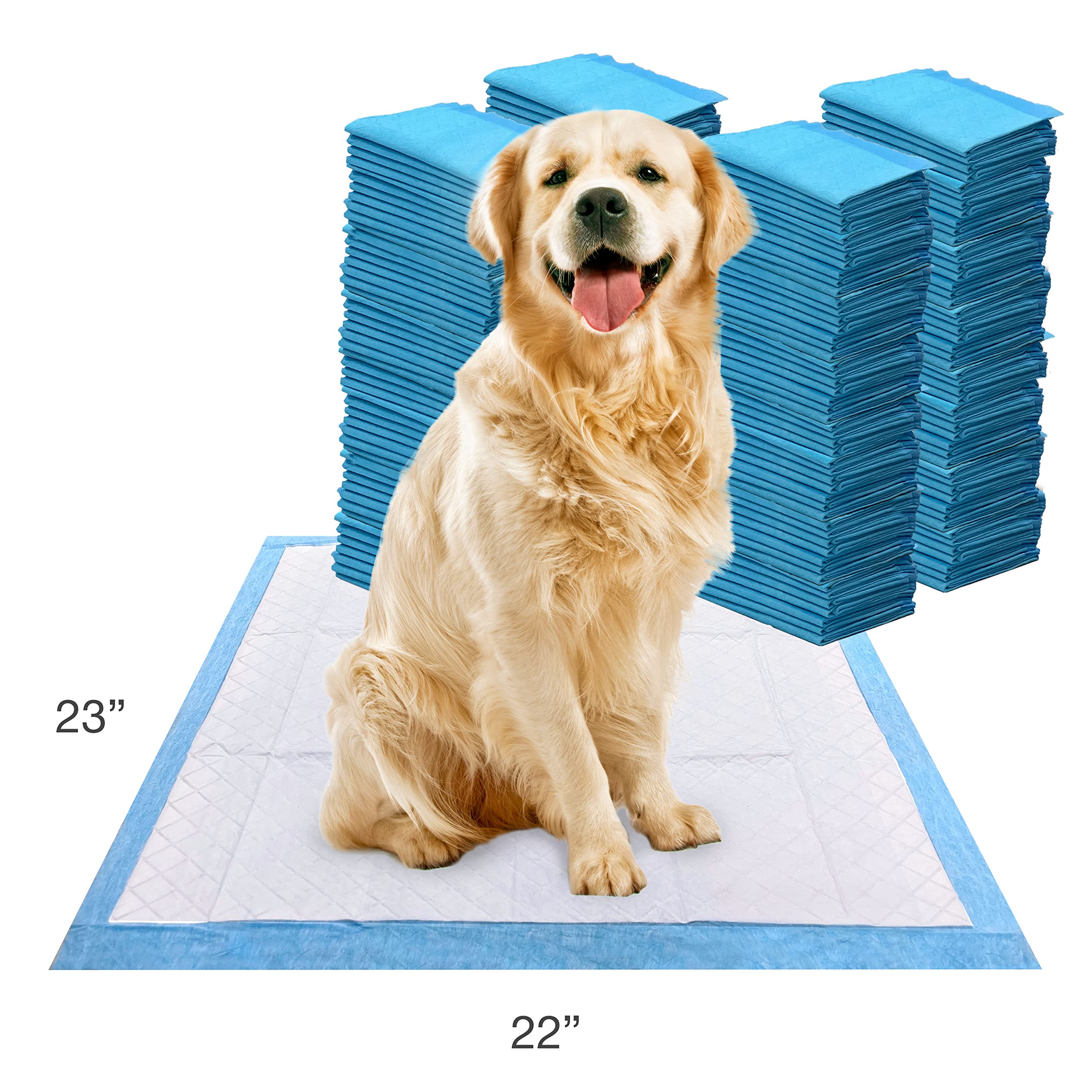 Four Paws Wee-Wee pad atrayente dirigido para facilitar el entrenamiento.