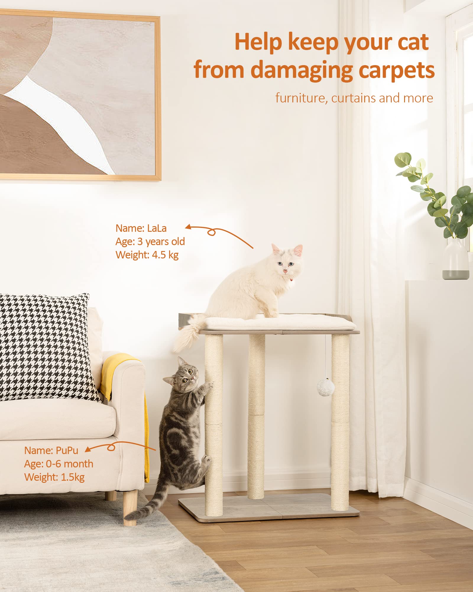 FourFurPets asiento acolchado para siestas suaves