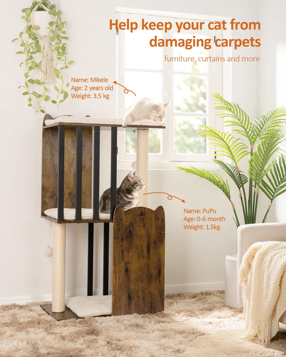 FourFurPets plataformas-grandes ofrecen reposo cómodo para gatos grandes.