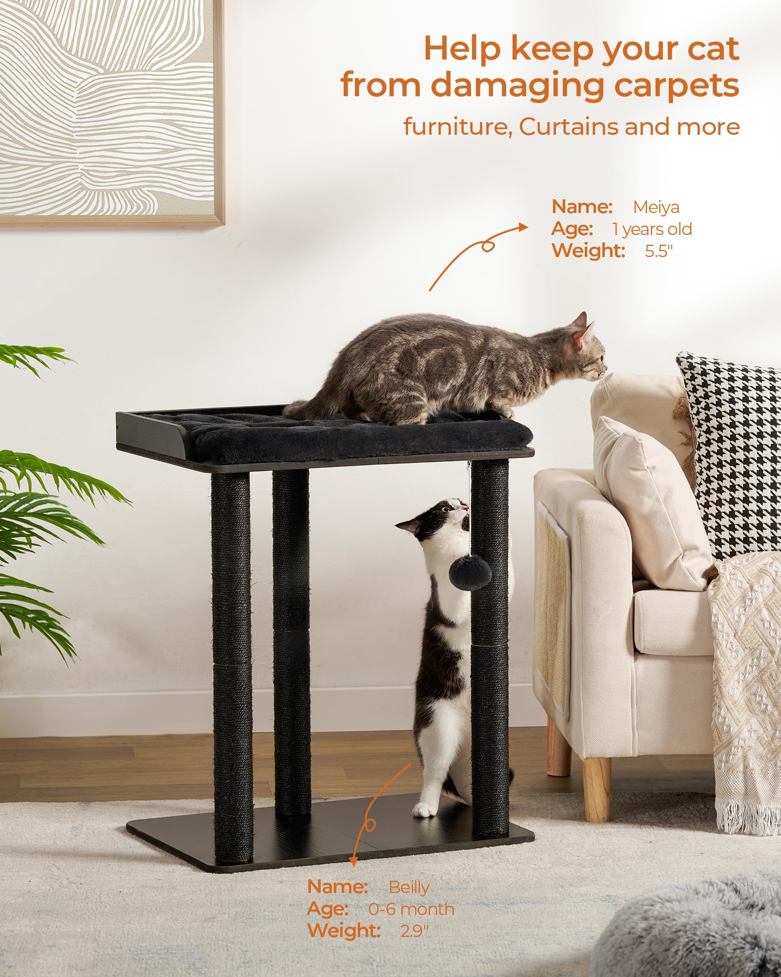 FourFurPets postes-sisal-naturales-23-6-pulgadas proporcionan rascar sin dañar muebles
