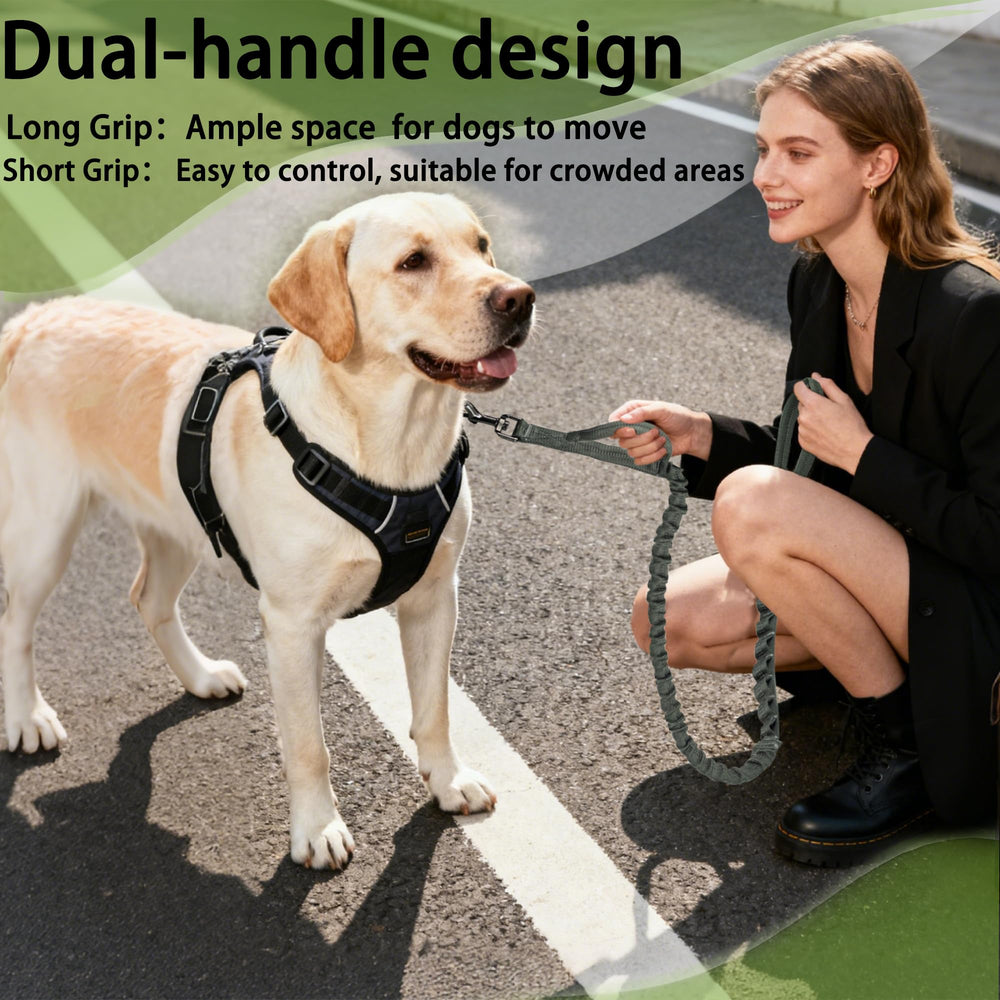 Longitud ajustable 4 a 5 pies FOVRLZSE ideal para paseos diarios.