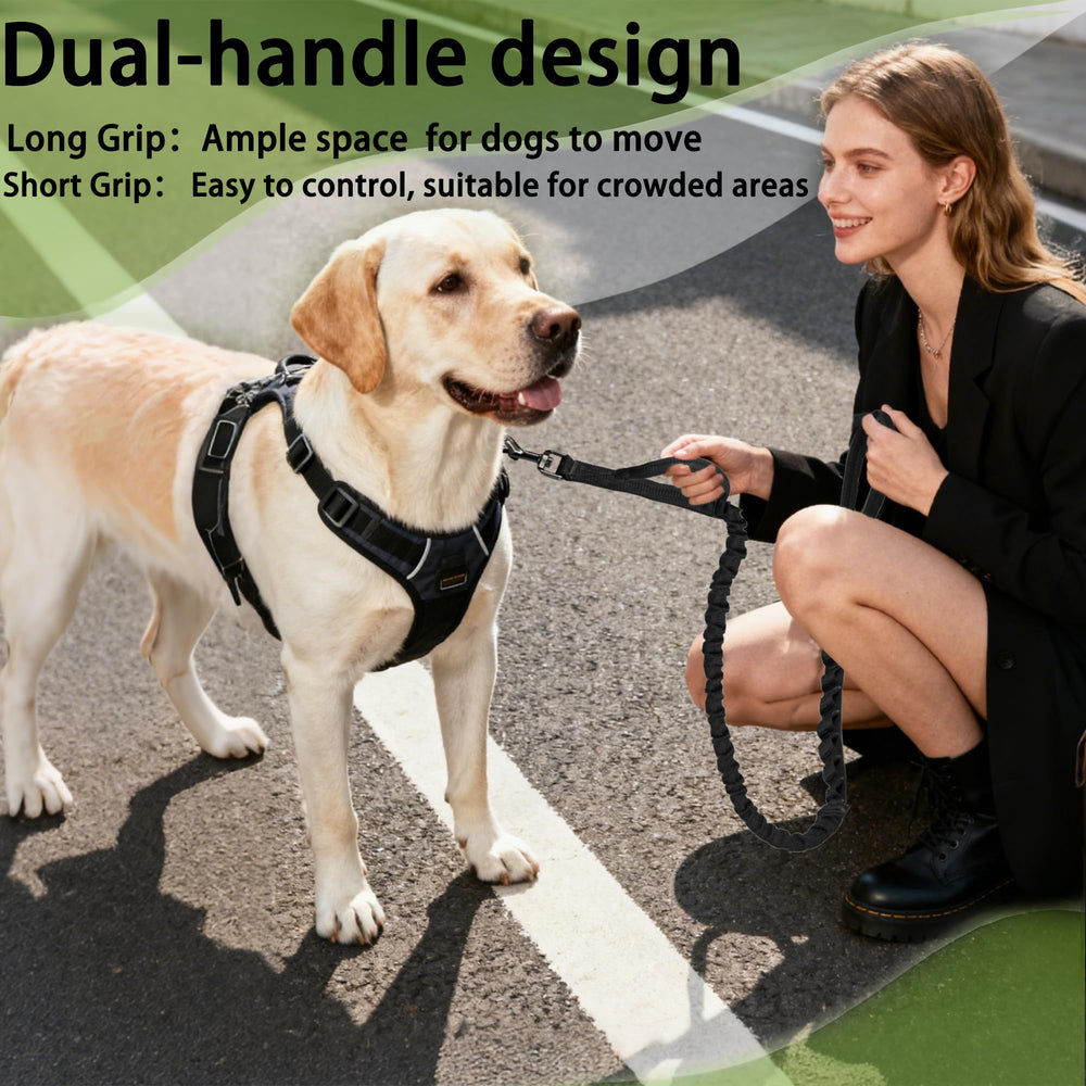 Longitud ajustable 4–5 ft para perros de todos los tamaños.