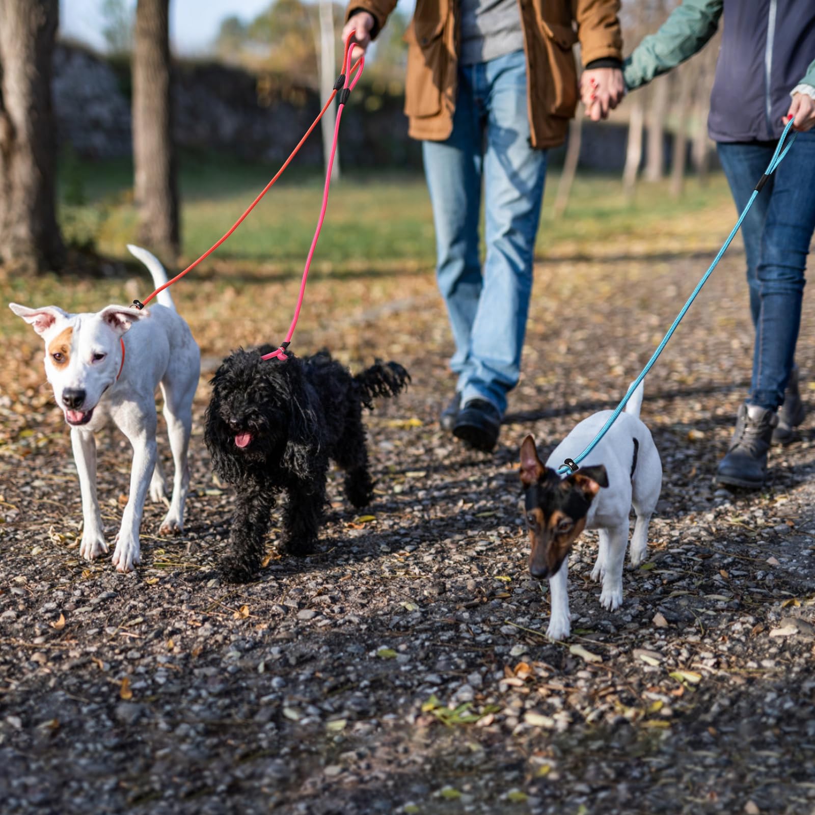 FOVRLZSE correa rosa-naranja para perros activos y fáciles de ver.