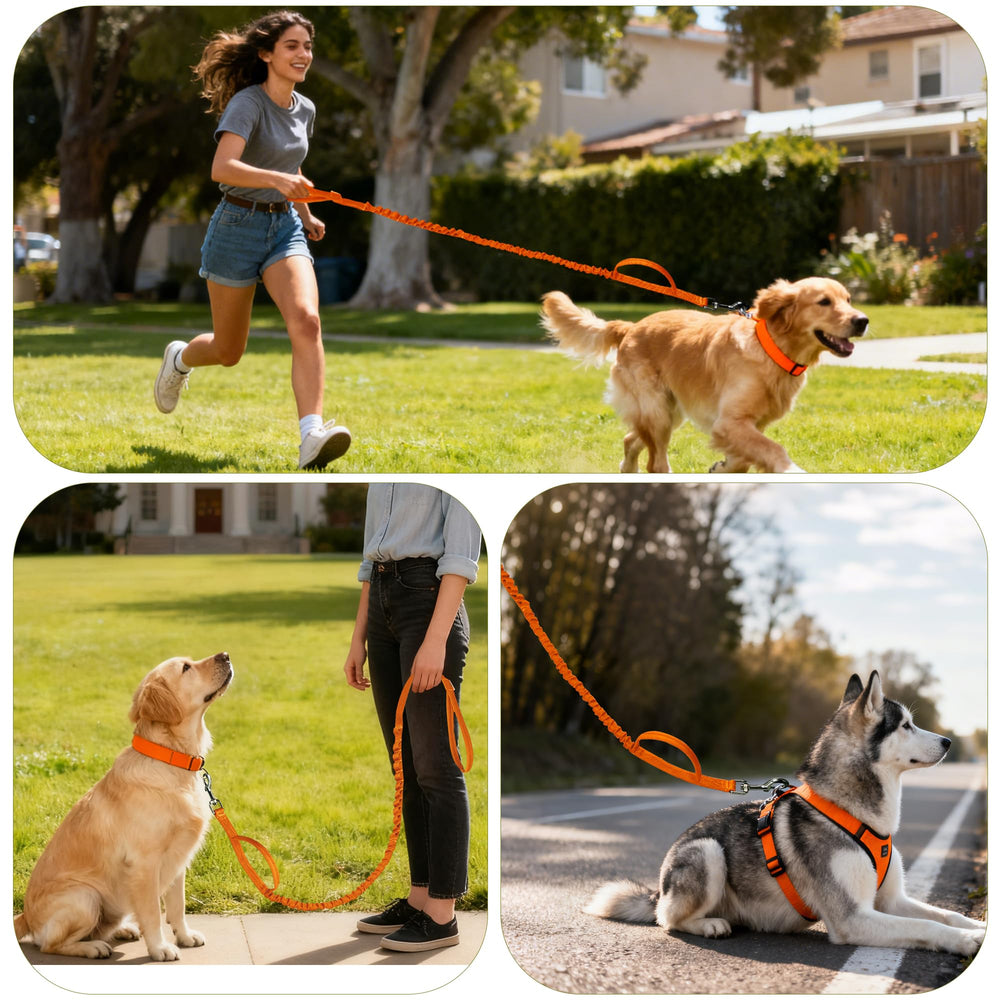 FOVRLZSE correaperros ajustable 4–5 pies para perros pequeños y medianos