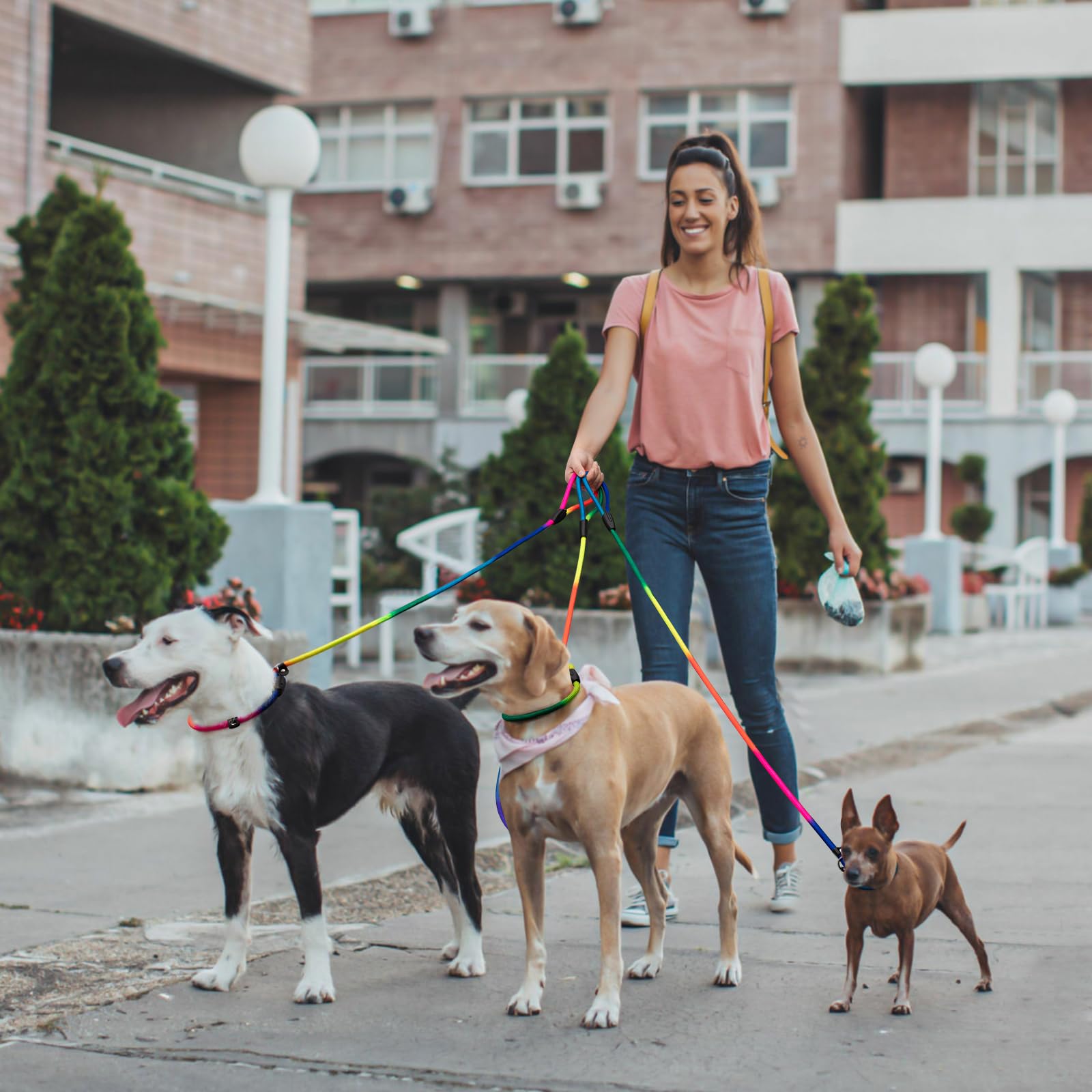 FOVRLZSE ideal para perros pequeños y medianos durante entrenamiento o paseo.