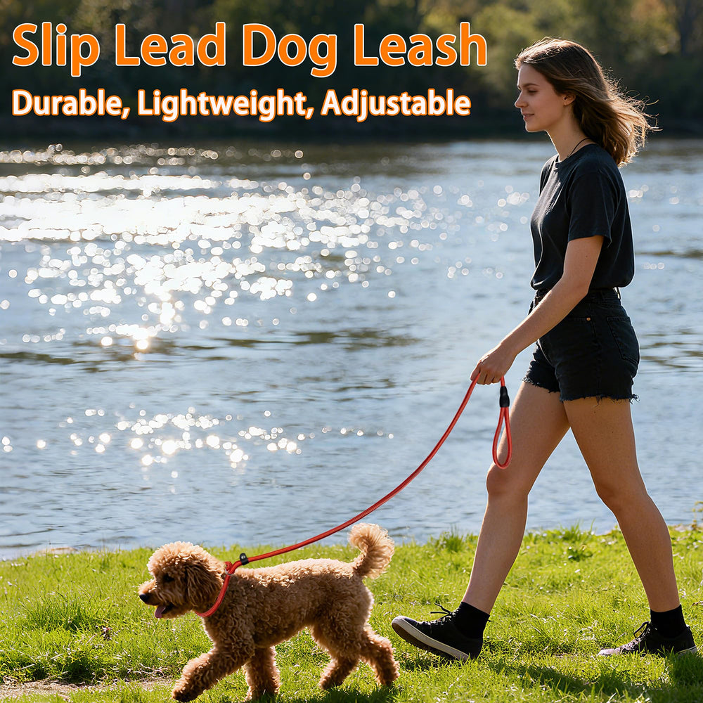 Nylon de 10 mm resistente, ideal para perros activos y aventuras diarias.
