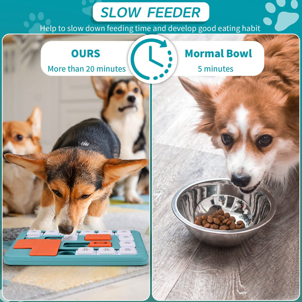 FOXMM juego educativo para perros en casa, mejora la relación humano-animal durante sesiones lúdicas