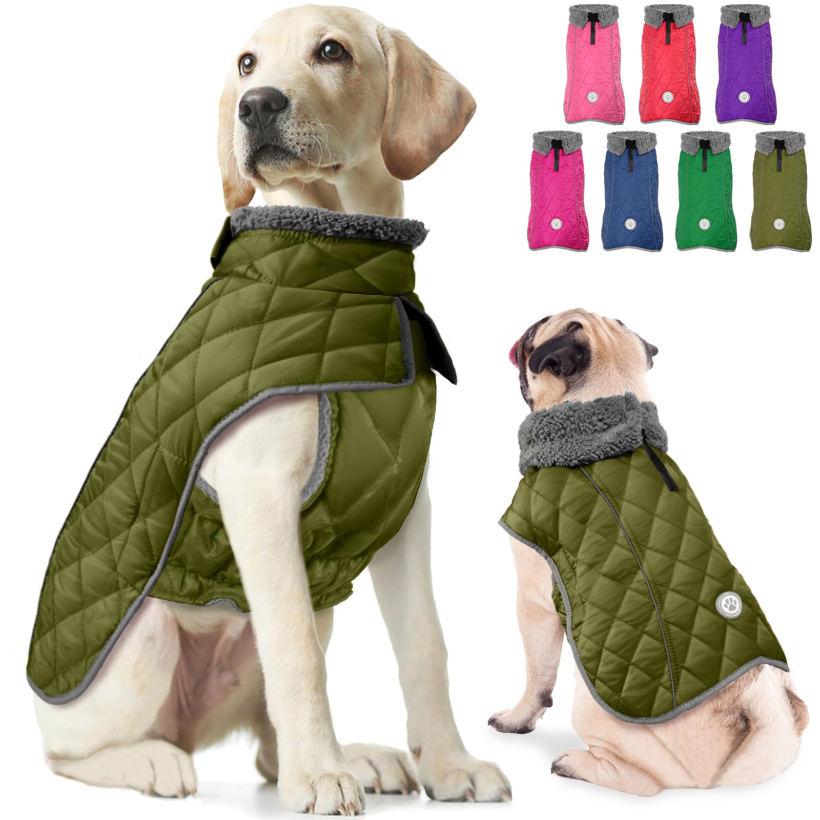 Fragralley abrigo invierno para perro impermeable protege contra la lluvia