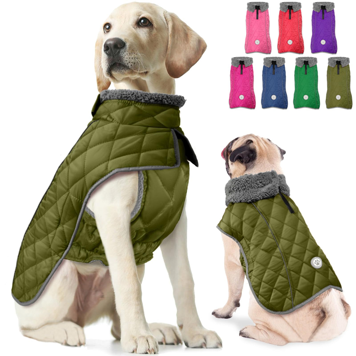 Fragralley abrigo invierno para perro impermeable protege contra la lluvia