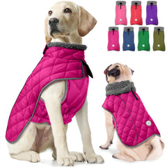 Fragralley abrigo para perro, vista frontal, calor y estilo para paseos