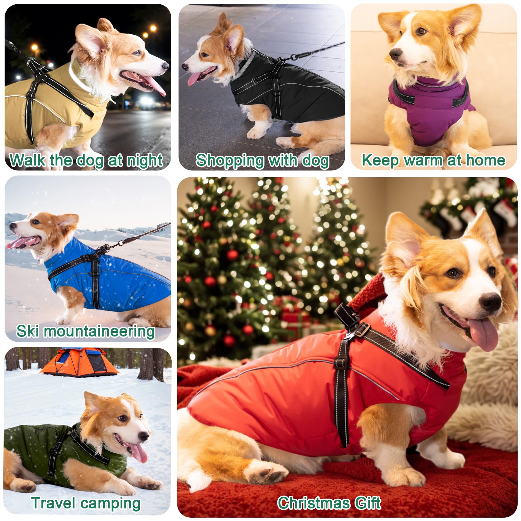 Fragralley chaqueta perro cuello ajustable, protege contra viento y nieve