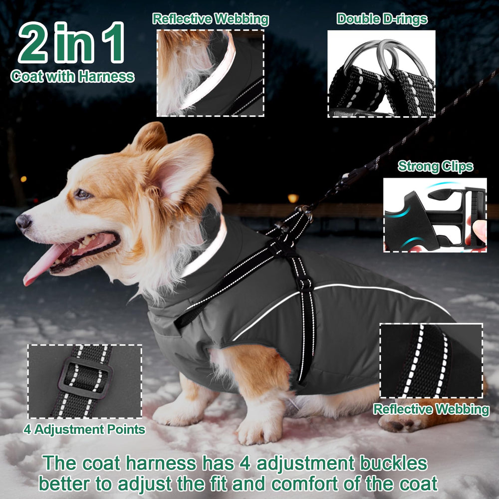 Fragralley chaqueta perro impermeable, mantiene a tu mascota seca durante lluvia o nieve