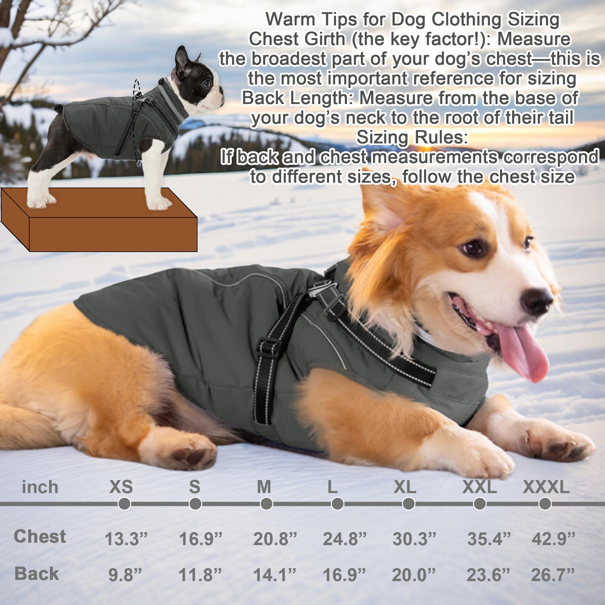Fragralley chaqueta perro reflectiva, mejora visibilidad nocturna para paseos seguros