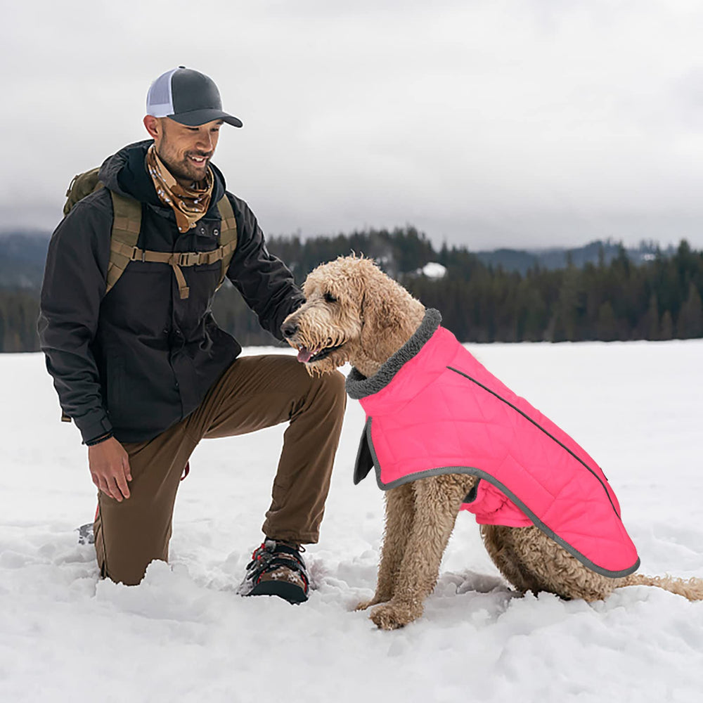 Disponible en seis tallas para perros de diferentes tamaños.