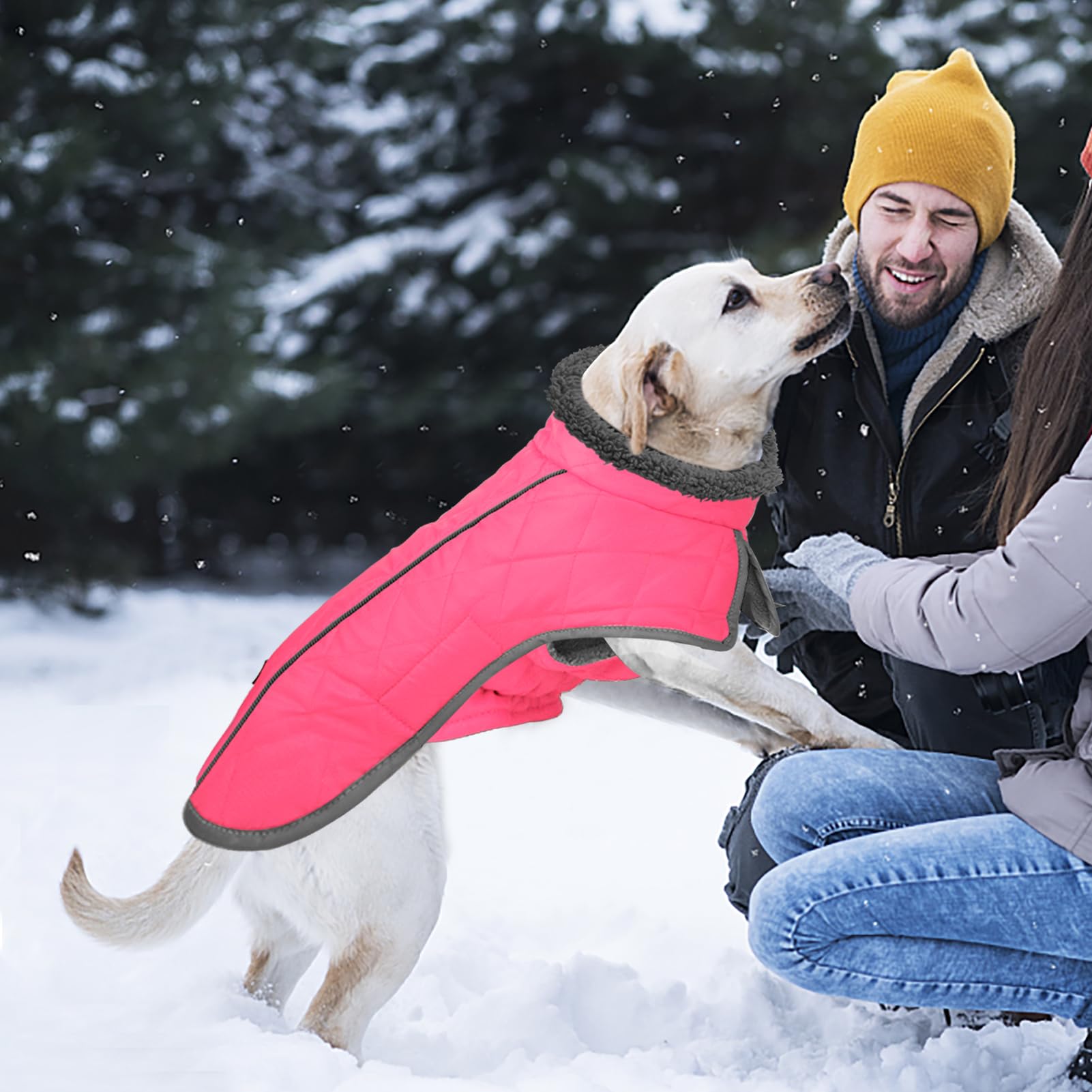 Ideal para paseos diarios, caminatas en la nieve o días lluviosos.